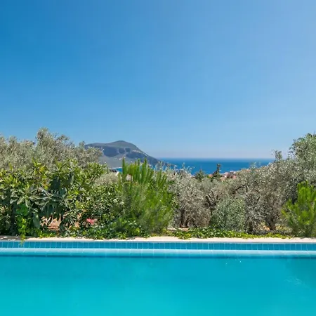 Villa 4 Bedroom